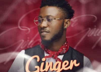 Ginger mp3 image