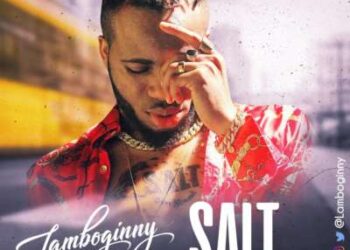 Lamboginny - Salt (Prod. By STO) 4 IMG 20180130 WA0007