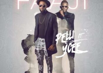 Pelli Ycee