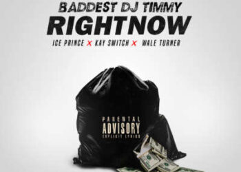 dj timmy right now cover