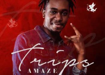 Amaze - Trips 1 Amaze art cover