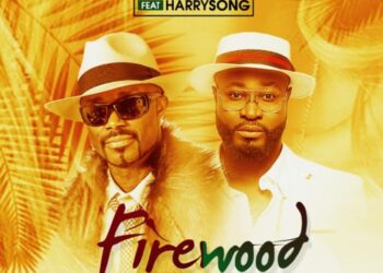 Mr Chichi Firewood Ft Harrysong ART