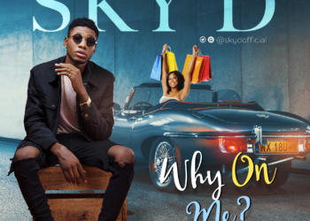 Sky D Why On Me mp3 image