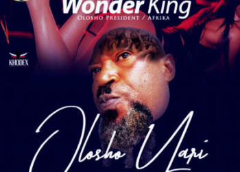 Wonder King Olosho Yari mp3 image