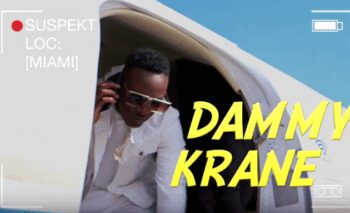 dammykrane 720x383 1