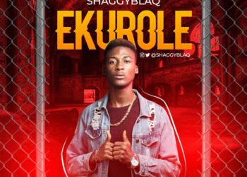 SHAGGYBLAQ EKUROLE mp3 image
