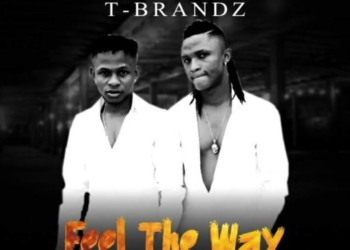 T BRANDZ FEEL THE WAY mp3 image