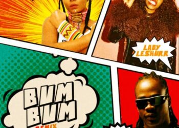 BumBum Remix mp3 image