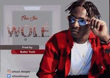Flow Joe - Wole 3 flowjoe