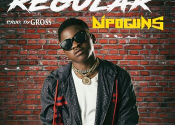 Dipoguns Regular