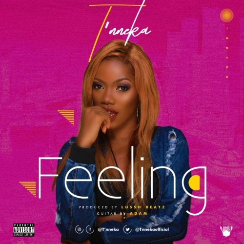 Song/Video T'nneka - Feeling 1 width=500