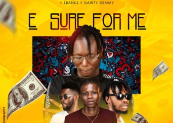 MTCN Recordz E Sure 4 Me ft T West mp3 image