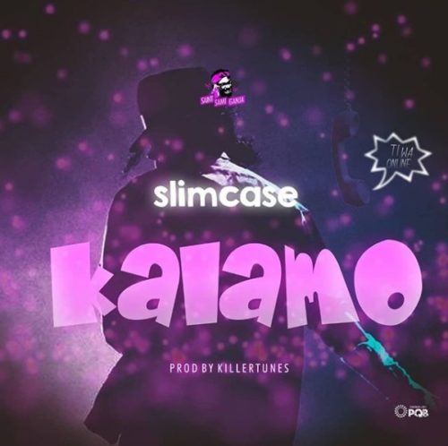 Slimcase - Kalamo 1 width=500