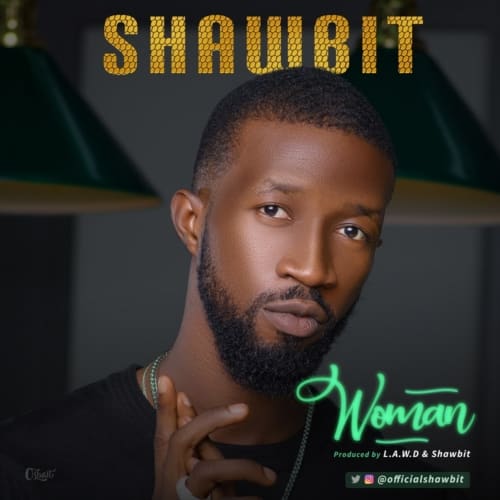 Shawbit - Woman 1 width=500