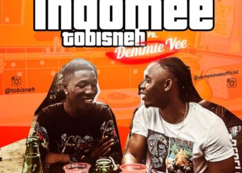 Tobisneh Indomee ART7