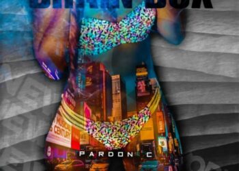 Pardon C Brain Box Artwork