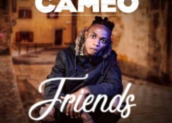 Cameo Friends ART