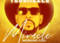 Teddiizzle Miracle Art