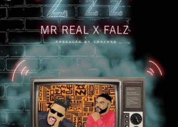 Mr Real Zzz