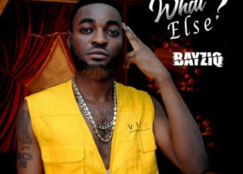 WhatElse Bayziq Artwork