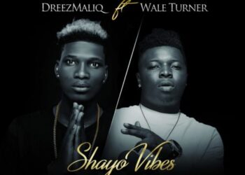 Dreezmaliq Shayo Vibes Ft. Wale Turner