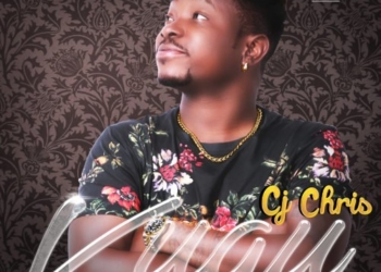cj chris vugu design