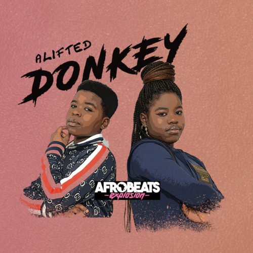 Alifted - Donkey 1 width=500