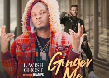 Ginger Me Art
