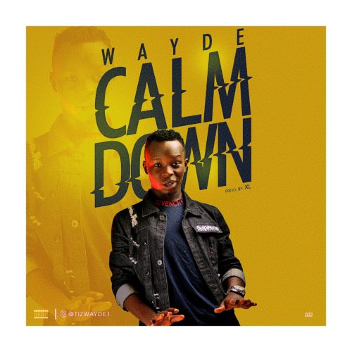 Wayde - Calm Down 1 width=500
