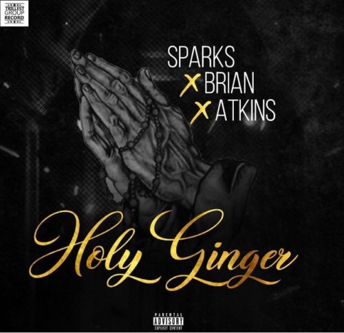 Sparks x Brian x Atkins - Holy Ginger 1 width=500