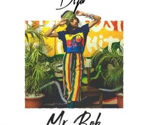 dija mr bob prod ibk spaceshipboi art