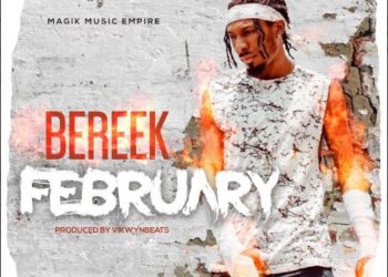 Bereek art