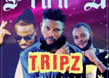 Tripz Ft Peruzzi Aterre Plan A mp3 image