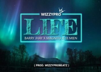 WizzyPro Life 585x585