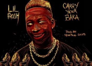 Lil Frosh Carry Ur Baka mp3 image