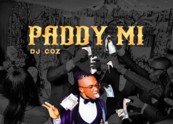 PADDY MI MAIN ARTWORK