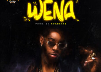 Solidstar Wena Artwork