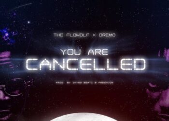 The Flowolf x Dremo You Are Cancelled mp3 image