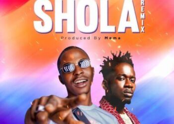 shola artwork
