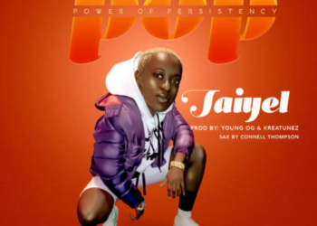 Taiyel POP Artwork