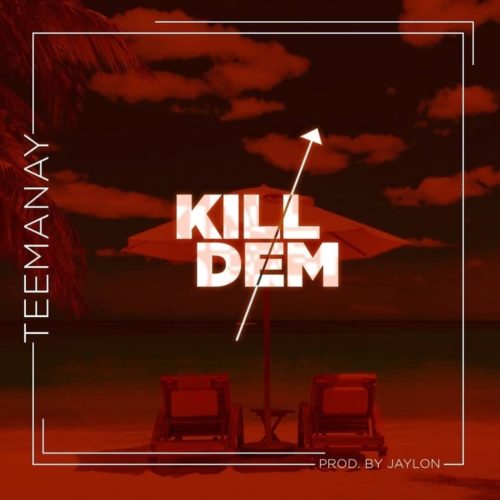 Teemanay - Kill Dem 1 width=500