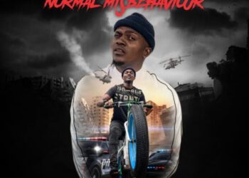 Kokopee Normal Misbehaviour mp3 image