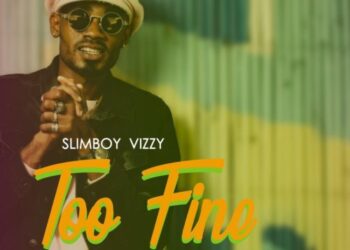 Slimboy Vizzy Too Fine mp3 image