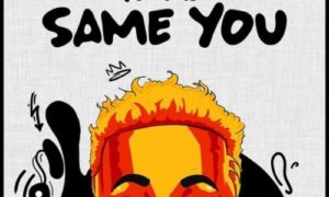 Terri - Same You