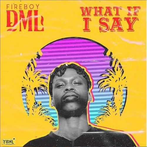 Fireboy DML "What If I Say"