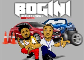 BOGINI