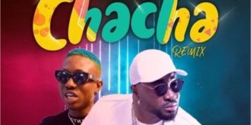 Harrysong Chacha Remix feat Zlatan Image