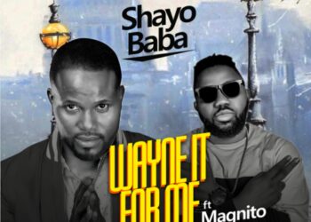dp shayo.png new one