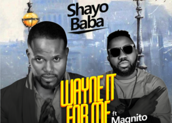 dp shayo.png new one