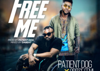 patient dog ft oritse femi